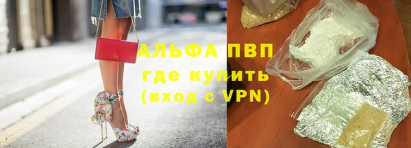 стаф Бородино