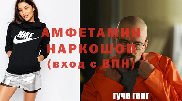 стаф Бородино