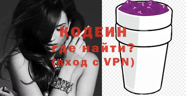 стаф Бородино