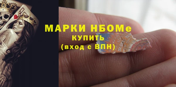 стаф Бородино