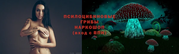 стаф Бородино