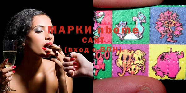 стаф Бородино