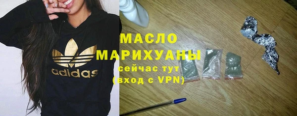 стаф Бородино