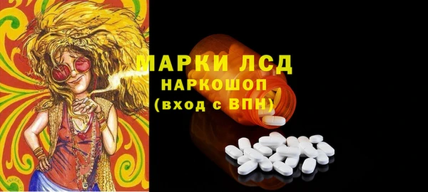 стаф Бородино