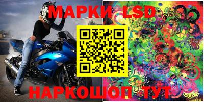 стафф Донецк