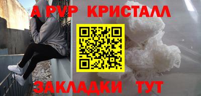 стафф Донецк
