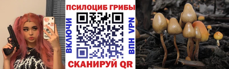 Псилоцибиновые грибы GOLDEN TEACHER  mega маркетплейс  Малоярославец 
