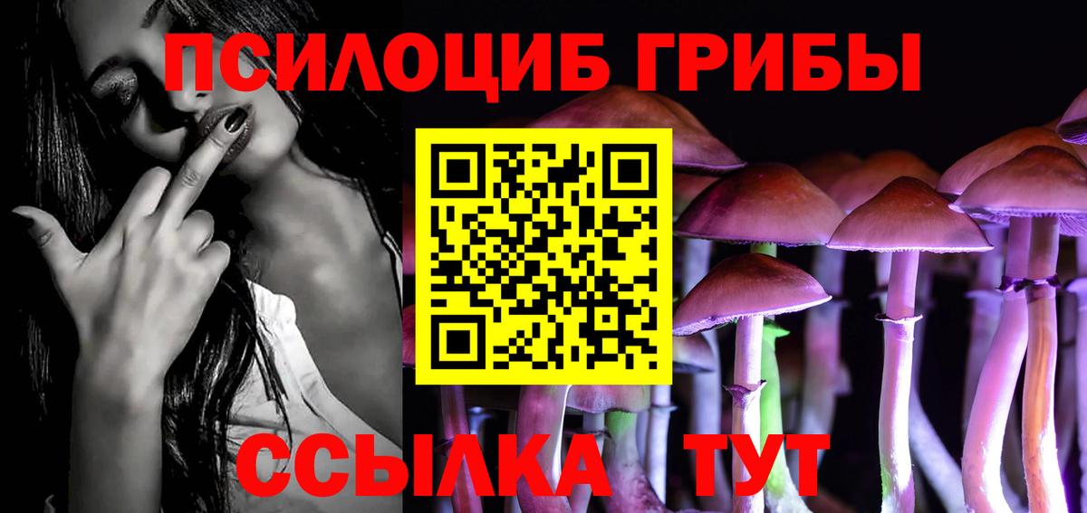 Псилоцибиновые грибы Psilocybine cubensis Малоярославец