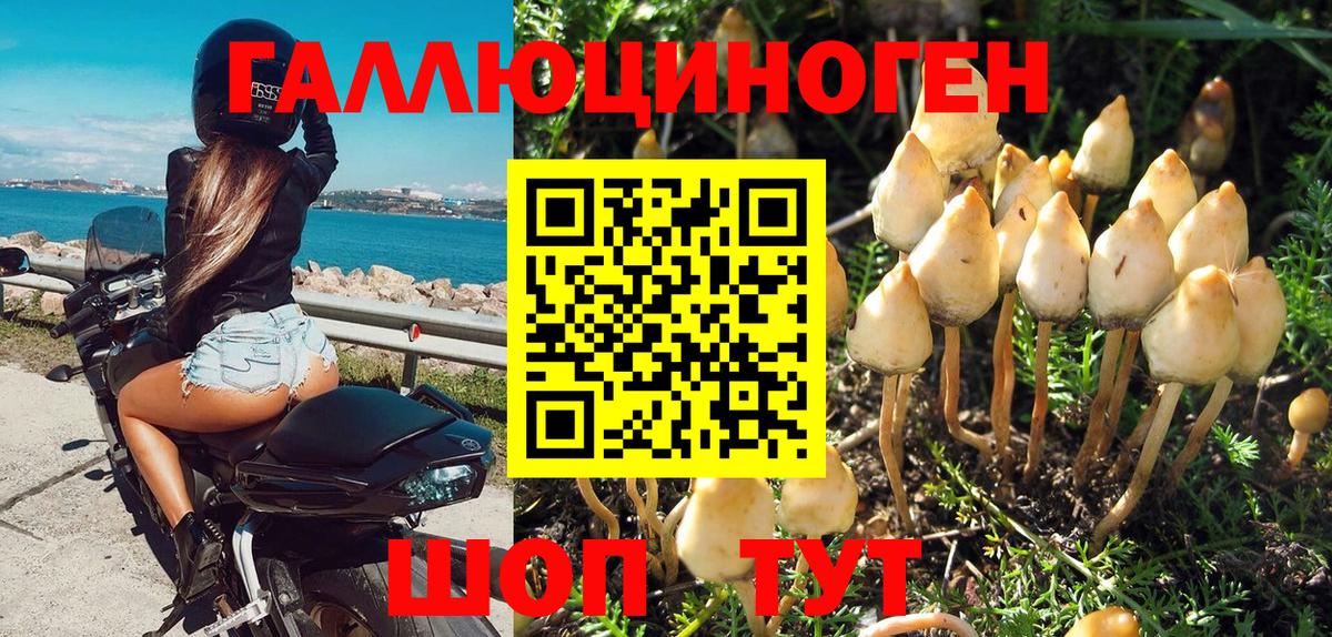 Галлюциногенные грибы мухоморы Малоярославец